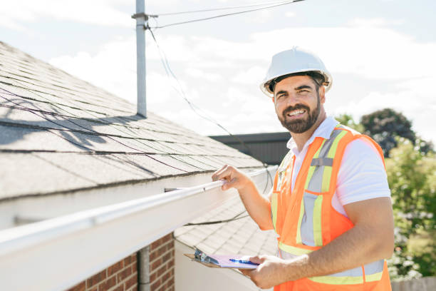 Best Roof Gutter Cleaning  in Wixom, MI